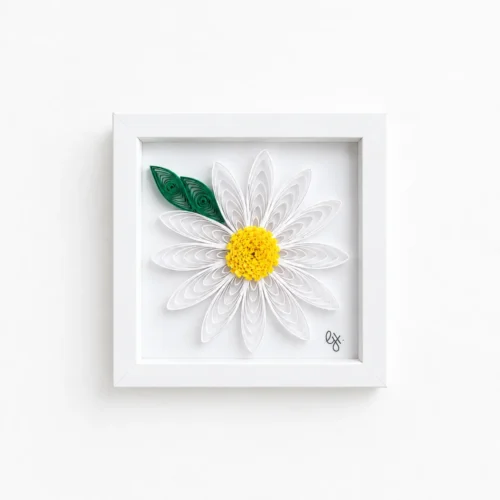 Flowers – Daisy